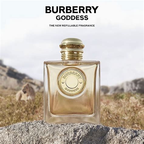 burberry gosdess|burberry goddess for men.